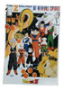 Poster Lamina Dragon Ball Goku 53x36cm. 150g Vegeta Serie Db 4