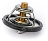 Termostato Ford Ecosport 2
