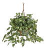 Nearly Natural 6517 Pothos Cesta Colgante Planta De Seda Dec 0