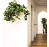 Nearly Natural 6517 Pothos Cesta Colgante Planta De Seda Dec 3