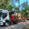 Poste 5m Ø14-16cm Impregnado Cca Palo Eucalipto Tijera 4