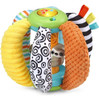 Vtech Ver-tocar-oír Sloth Ball 0