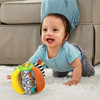 Vtech Ver-tocar-oír Sloth Ball 4
