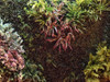 Jardin Vertical Artificial Panel Premium Protecc. Uv Sheshu 1