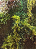 Jardin Vertical Artificial Panel Premium Protecc. Uv Sheshu 2