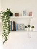 Planta Artificial Colgante Con Maceta 68 Cms 1