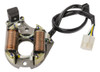 Estator P/ Zanella Zb 110 -- W Standard 0