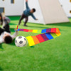 Bola De Arco-íris Com Cauda Novidade Brinquedos De 95cm 6