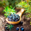 Crema Enebro Bioesencia 2