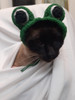 Sombrero De Sapo Para Mascotas A Crochet 2