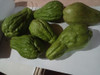 Chayote, Papa De Aire, Chuchu, Xuxu X1kg 2