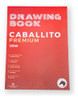 Block Dibujo Caballito 1/8 180gr. Serviciopapelero 0
