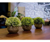 Mini Plantas Artificiales De Plástico Opps Única Flor De Hie 2