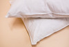 Almohadon De Plumas Natural 60x60 Cms - X 2 Unidades 0