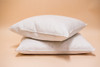 Almohadon De Plumas Natural 60x60 Cms - X 2 Unidades 2