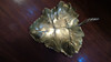 Cenicero Despojador De Bronce Con Forma De Hoja Angela 1
