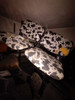 Sillas Dobles 0