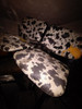 Sillas Dobles 1