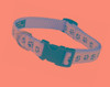 Perro Atrevido Llevar Collar Perro Ajustable 2