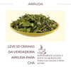 Arruda Erva Natural P Chá | Legitima Solidago Microglossa 1