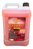 Combo Shampoo Sin Frotar + Pulverizador Giber Tec 1