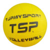 Pelota Voley Entrenamiento Escuela Didactica Pvc Tsp N° 5 0