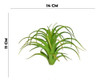 Suculenta Agave Verde Outono 10cm Flor Arte 2