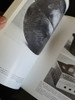 Libro El Diseño Y La Forma- J.itten 5