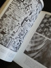 Libro El Diseño Y La Forma- J.itten 7