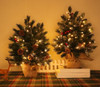 Turnmeon Paquete De 2 Rboles De Navidad Pequeos De Mesa 4