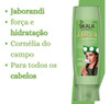 Condicionador Jaborandi E Camélia Do Campo Nutri 325ml Skala 2