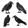 Plaga Aves 6 Cuervos Espanta Repele + 5m Pinches Púas Raven 0