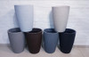 Palmera Areca!! Envio Sin Costo !! 7