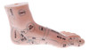 Modelo De Pé De 19 Cm Reflexologia Acuponto Acupuntura 3