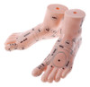 Modelo De Pé De 19 Cm Reflexologia Acuponto Acupuntura 4