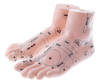 Modelo De Pé De 19 Cm Reflexologia Acuponto Acupuntura 6
