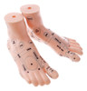 Modelo De Pé De 19 Cm Reflexologia Acuponto Acupuntura 7
