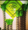 Alambre Tejido 1,50x2½x14½ 3