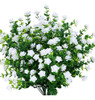 Urstoud 6pcs Flores Artificiales De Eucalipto, Vegetación Ar 0