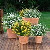 Urstoud 6pcs Flores Artificiales De Eucalipto, Vegetación Ar 3
