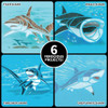 Spicebox Kits De Arte Infantil Imagine It Learn & Draw Shark 4