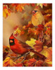 Diamond Painting Modelos Varios 0