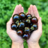 Semillas Tomate Cherry Negro - Kit Siembra Inc - Envíos 0