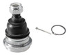 Rotula Inferior Mitsubshi L300 0