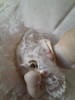 Bebote De Porcelana 6