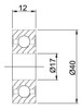 Ruleman 17x40x12 6203 1