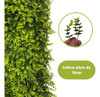 Placa De Grama De Eucalipto 40x60 Jardim Vertical Artificial 1