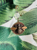 Pesas Para Mantel Set X 4 Abeja Bronce Cairel 2
