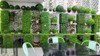 30 X Pack Césped Artificial Jardin Vertical 40 X60 Cm 7