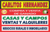 Cliente Busca Comprar Campo Ganadero Inversion U$ 500 Mil 3